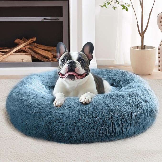 JOLLYVOGUE Calming Dog Bed for Small Dogs by JOLLYVOGUE