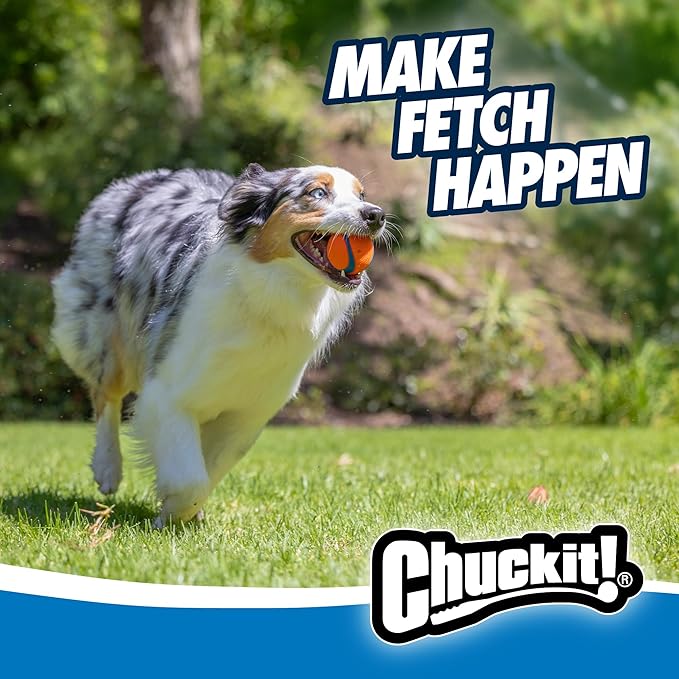Chuckit! Ultra Ball Dog Toy - Image 3