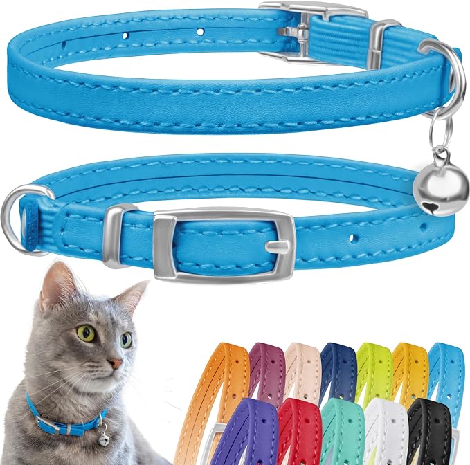 CollarDirect Leather Cat Collar, Kitten Collar by CollarDirect