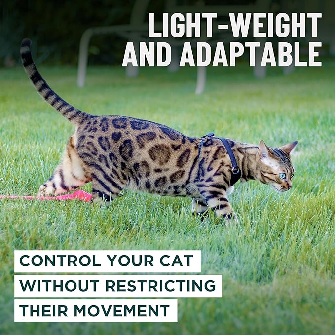 Houdini™ Escape Proof Kitten Harness and Leash Set by OutdoorBengal – Black - Image 7