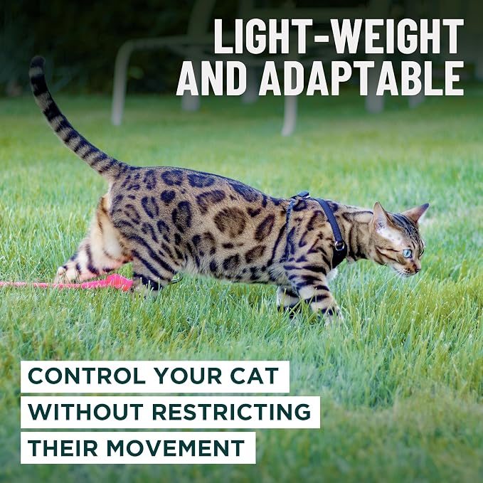 Houdini™ Escape Proof Kitten Harness and Leash Set by OutdoorBengal – Red - Image 7