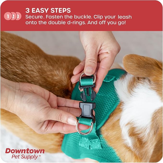 Downtown Pet Supply Step-in Dog Harness – No Pull, Adjustable Padded Mesh - Image 5