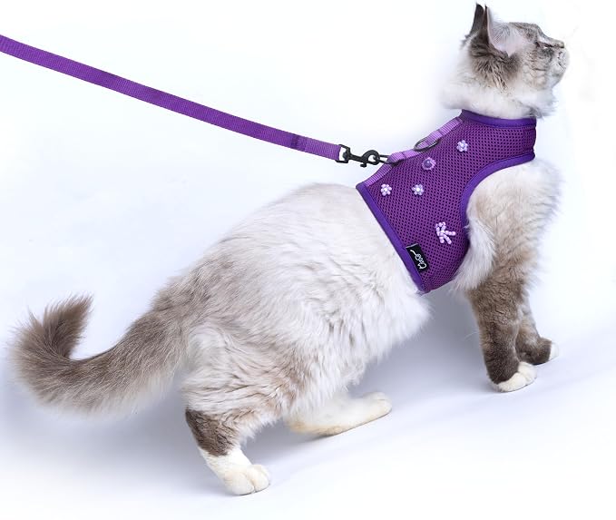 Cat Harness and Leash for Walking Escape Proof Breathable Mesh Fabric, Extra by Yizhi+Miaow