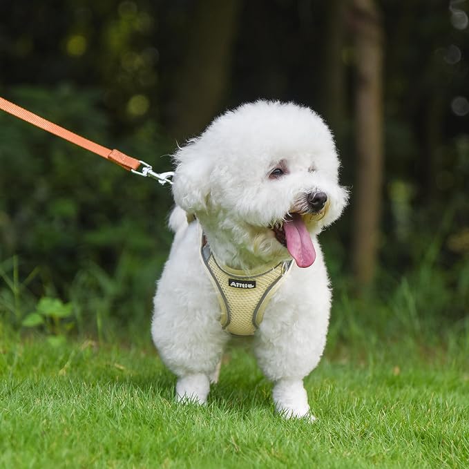 AIITLE Dog Harness, No-Pull Cat Harness - Image 2