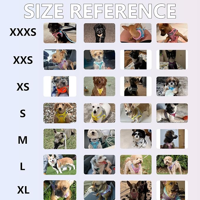 AIITLE Small Harness for Puppy - Image 9