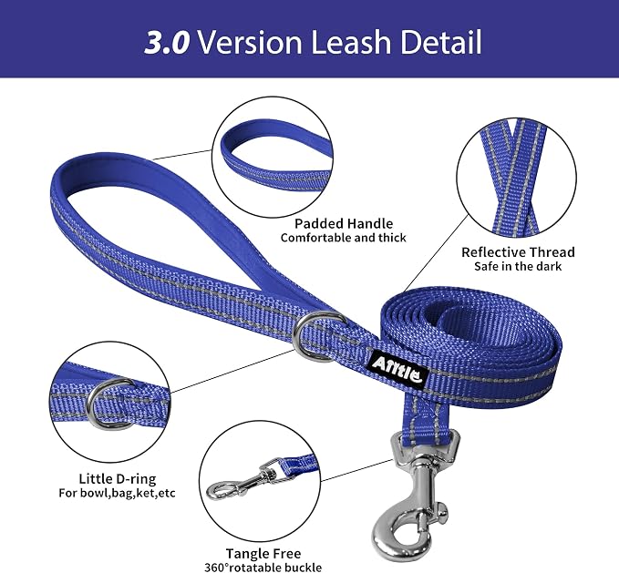 AIITLE Step in Dog Harness and Leash Set - Image 5