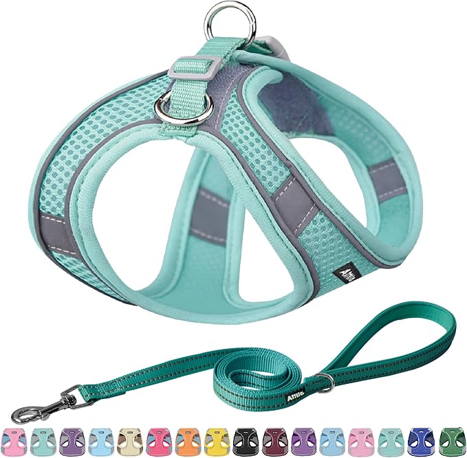 AIITLE Dog Harness, No-Pull Cat Harness by AIITLE-FORPETSBETTERLIFE