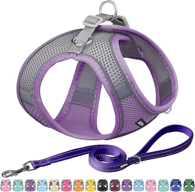 AIITLE Comfortable Dog Harness and Leash Set by AIITLE-FORPETSBETTERLIFE