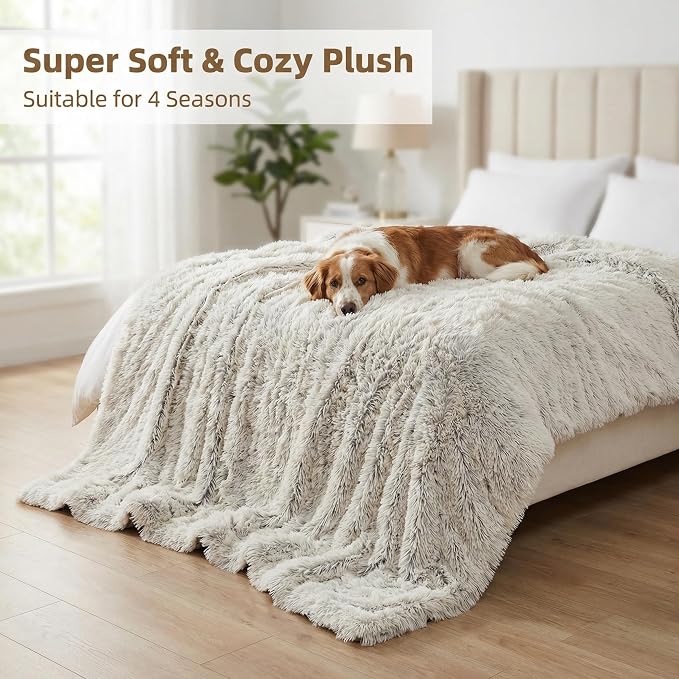 PJYuCien Dog Blankets for Small Dogs Washable - Image 3