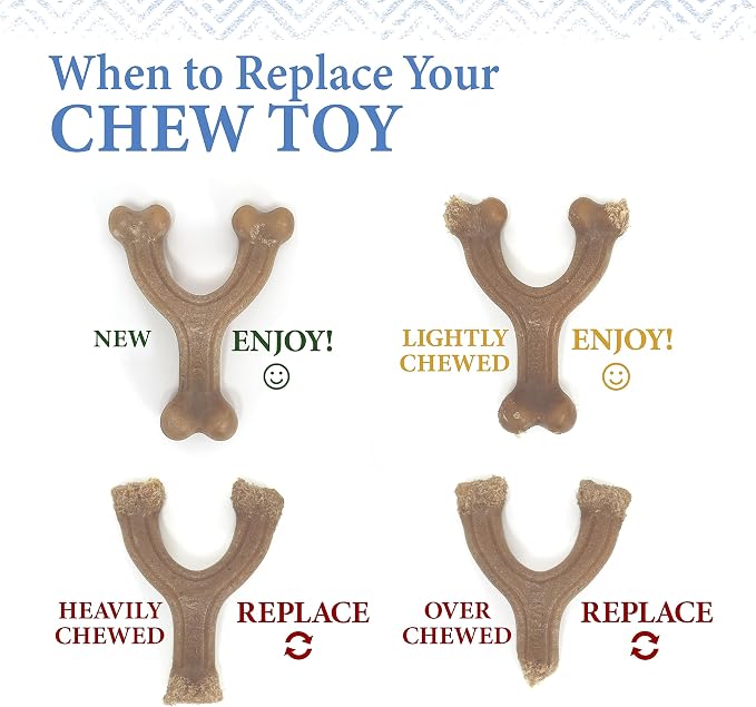 Nylabone Gourmet Style Femur, & Stick Strong Chew Toy - Image 11