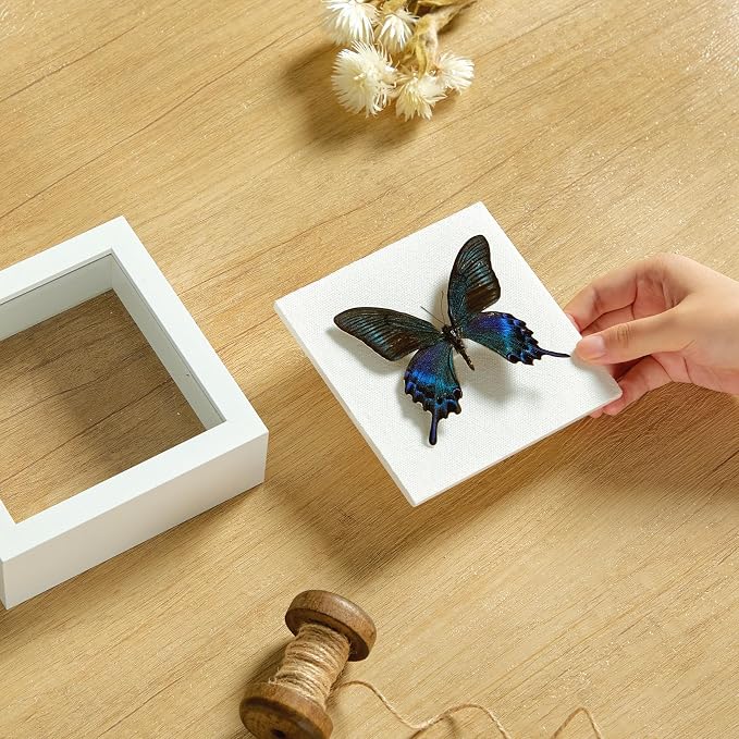 5x5 Small Shadow Box Picture Frame - Image 2
