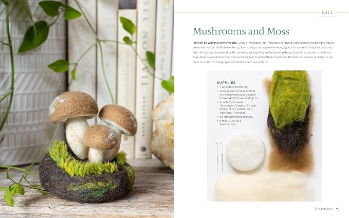 Needle Felting Through the Seasons: 12 Beginner Projects - Image 10