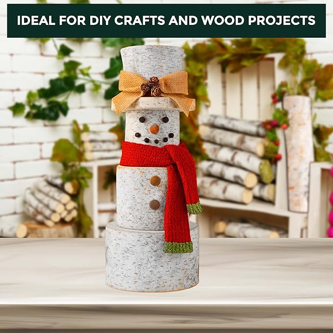 17 Inch Natural Birch Logs - Decorative Dried Birch Wood Logs for Fireplace, Wedding Centerpieces - Unfinished Wood DIY Crafts, & Home Décor - Birch Log Bundle for Indoor Display (6 PCS) (2.5"-4" DIA)