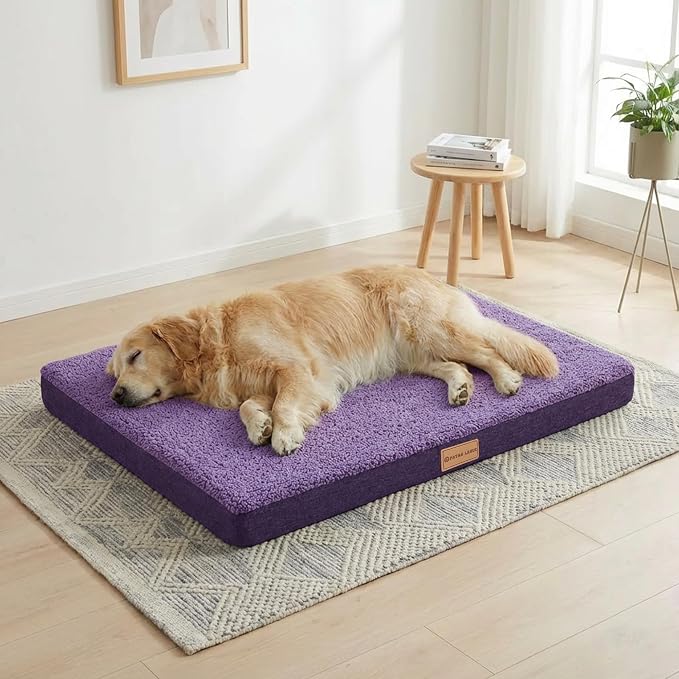 Patas Lague Orthopedic XL Dog Bed Large Sized Dog 48''X30'', Soft Waterproof by PatasLague