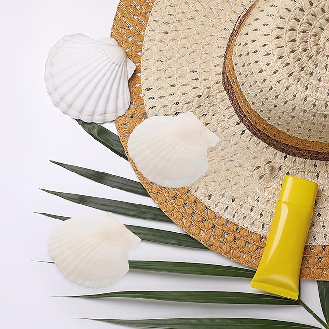 GLEAVI Scallop Shells for Crafts: 21pcs Natural Scallop Shells Bulk 3.14 Inch Sea Shell Decoration for Ocean Themed Parties and Home Decor