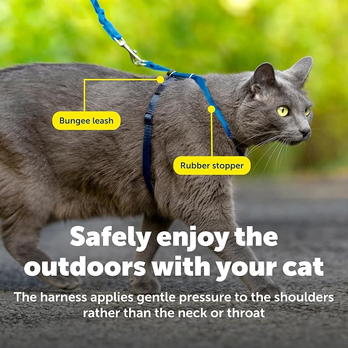 PetSafe Come With Me Kitty Cat Harness & Bungee Leash - Image 5