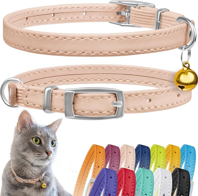 CollarDirect Leather Cat Collar, Kitten Collar by CollarDirect