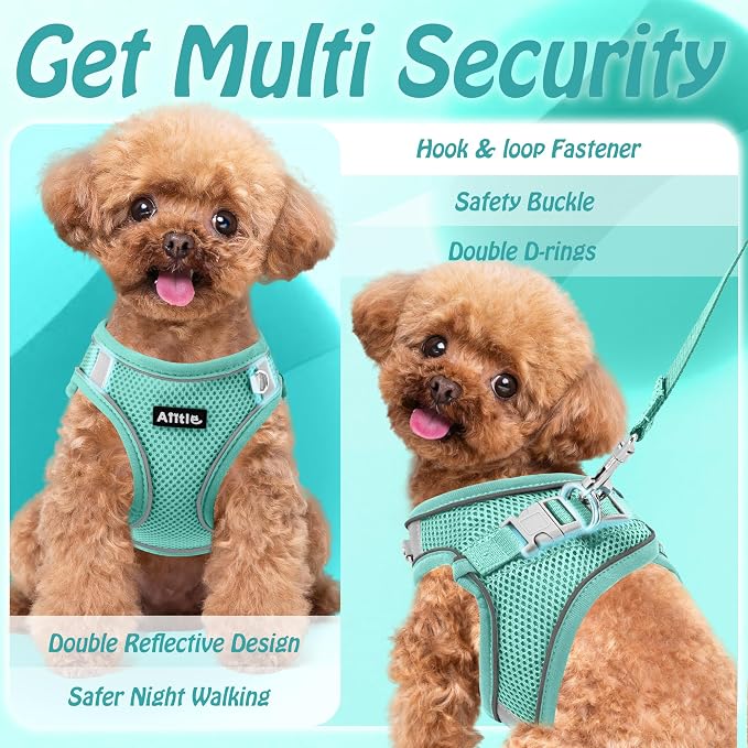 AIITLE No Pull Dog Harness and Leash Set, Step in Adjustable Dog Harness - Image 8