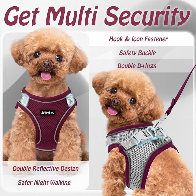 AIITLE Comfortable Dog Harness and Leash Set - Image 9