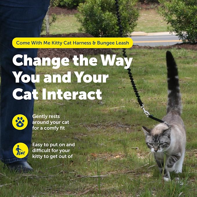 PetSafe Come With Me Kitty Cat Harness & Bungee Leash - Image 4
