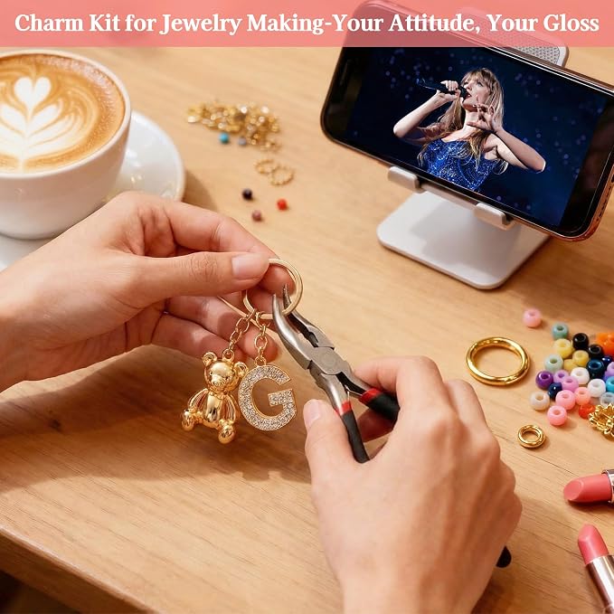 Lemosyu 271Pcs Keychain Making Kit Charms - Image 4