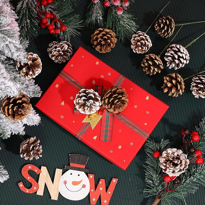 Fovths 24 Pieces Christmas Pine Cones Pick Pinecones Ornament Christmas Tree Decoration 2.4-3.1 Inches Pine Cones for Home Party Christmas Crafts (White, Natural)