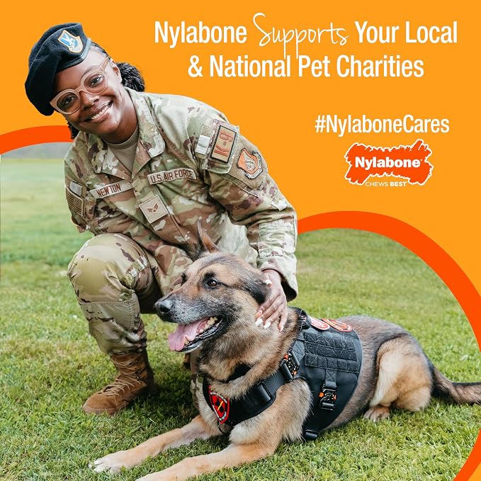 Nylabone Puppy Chew Key Ring Toy, Toys - Image 7