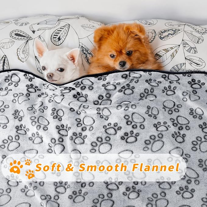 LOKOZ 2 Pack Dog Blanket for Small Medium Dogs, Soft Washable Fleece Pet - Image 2