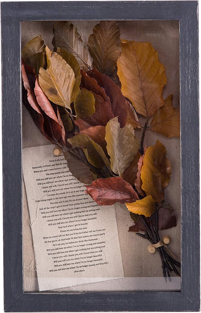 Freezing point Shadow Box Frame 8x12.5 Shadow Box Display Case Cabinet Picture - Image 2
