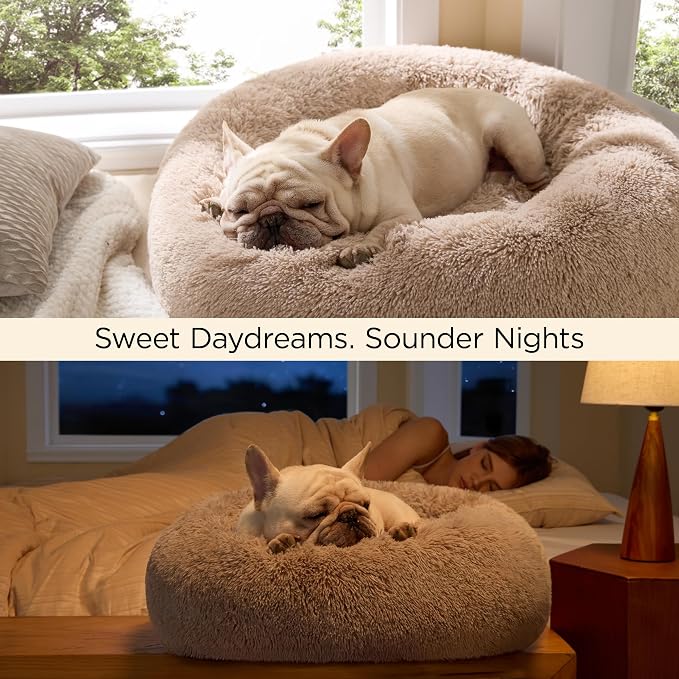 Bedsure Calming Dog Bed for Small Medium Dogs - Image 4