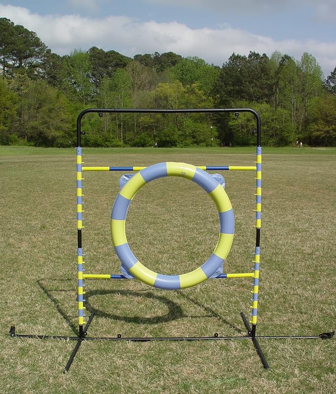 Agility Tire Jump - Image 7
